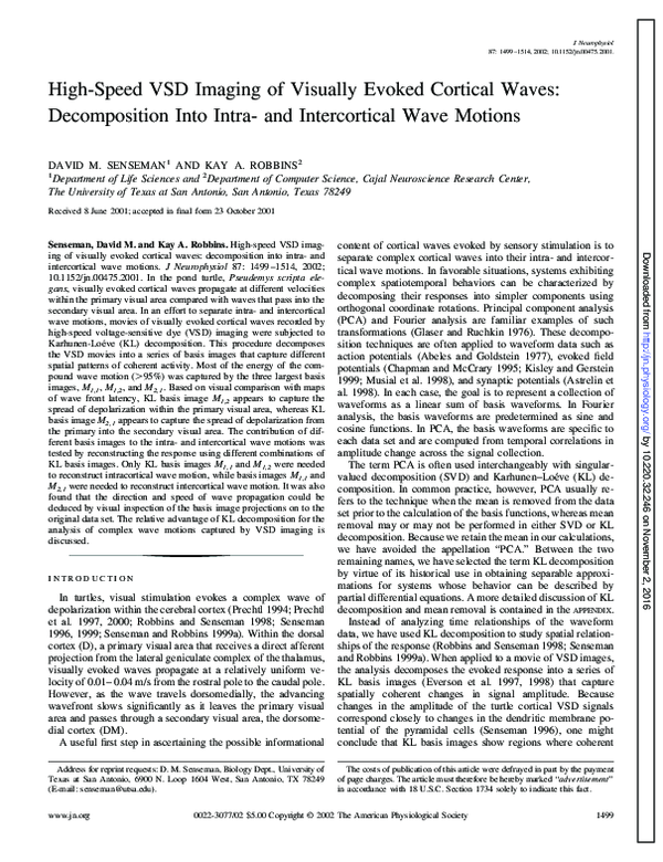 (PDF) High-speed VSD imaging of visually evoked cortical waves ...