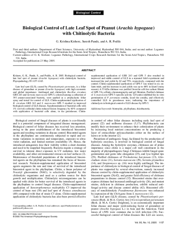 (PDF) Biological Control of Late Leaf Spot of Peanut ( Arachis hypogaea ...