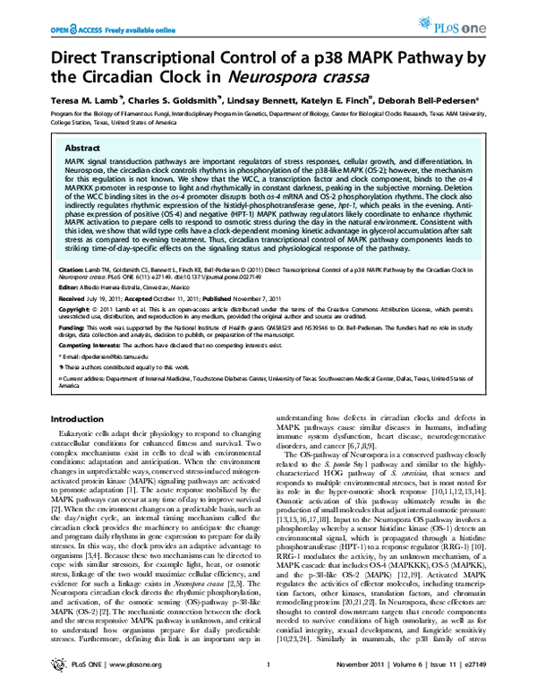 (PDF) Direct Transcriptional Control of a p38 MAPK Pathway by the ...