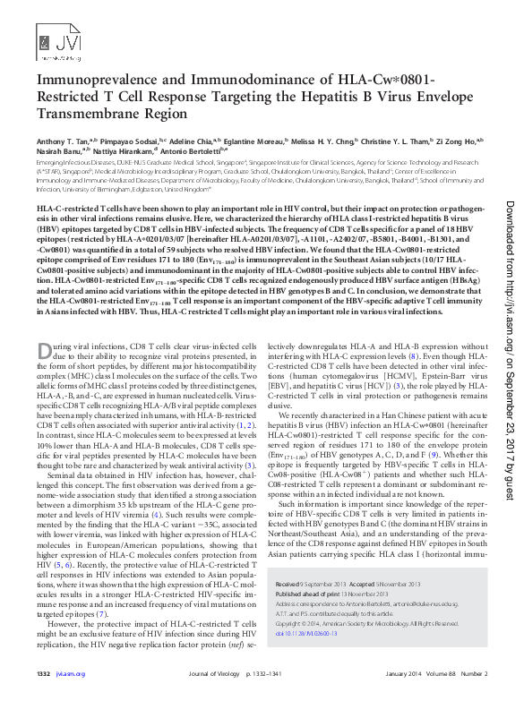 (PDF) Immunoprevalence and Immunodominance of HLA-Cw*0801-Restricted T ...