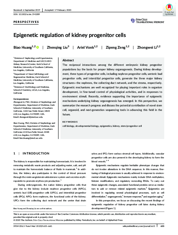 (PDF) Epigenetic regulation of kidney progenitor cells