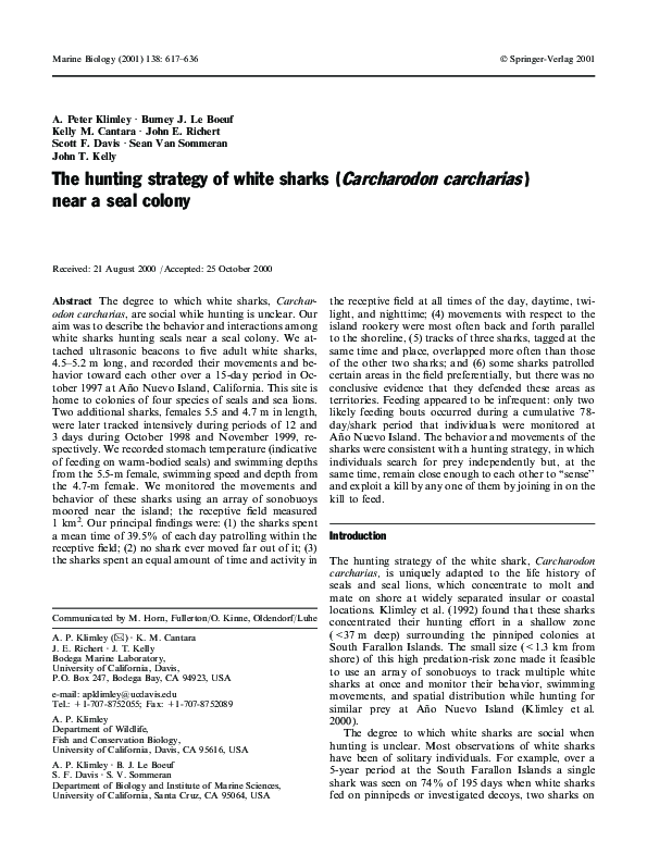 (PDF) The hunting strategy of white sharks ( Carcharodon carcharias
