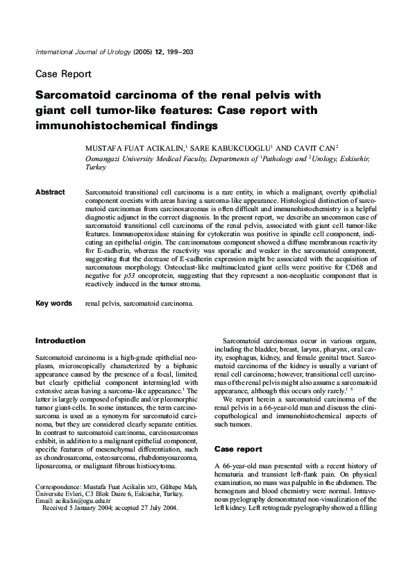(PDF) Sarcomatoid carcinoma of the renal pelvis with giant cell tumor ...