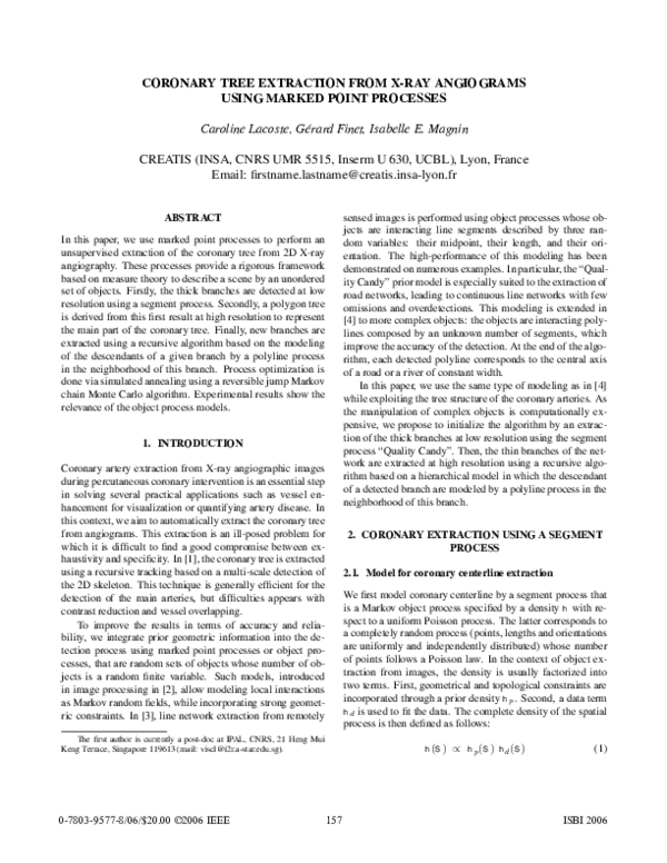 (PDF) Coronary tree extraction from X-ray angiograms using marked point ...