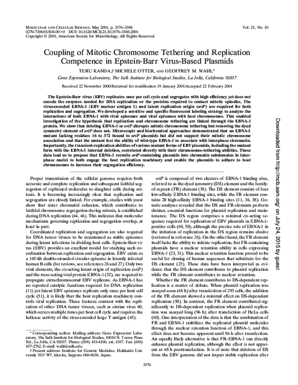 (PDF) Coupling of Mitotic Chromosome Tethering and Replication ...