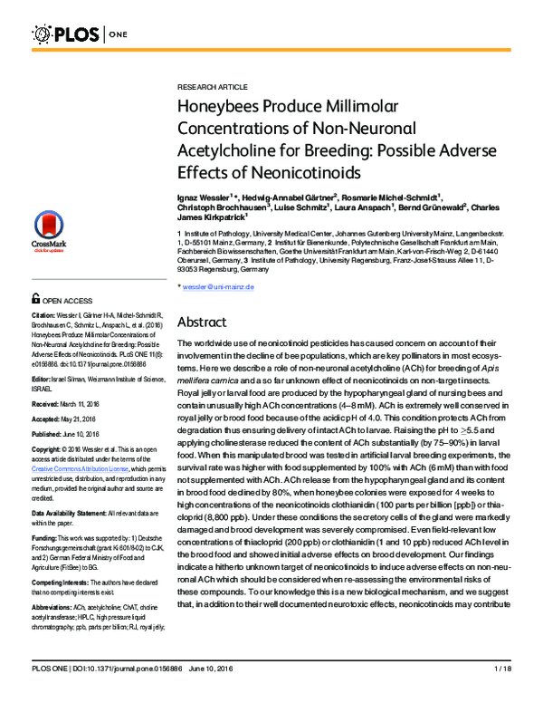 (PDF) Honeybees Produce Millimolar Concentrations of Non-Neuronal ...