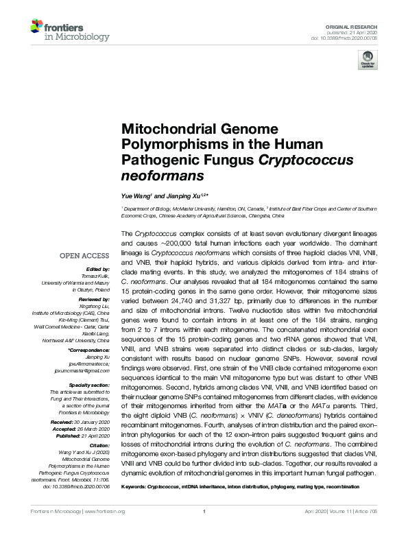 (PDF) Mitochondrial Genome Polymorphisms in the Human Pathogenic Fungus ...