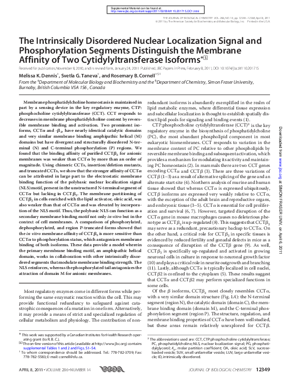 (PDF) The Intrinsically Disordered Nuclear Localization Signal and ...