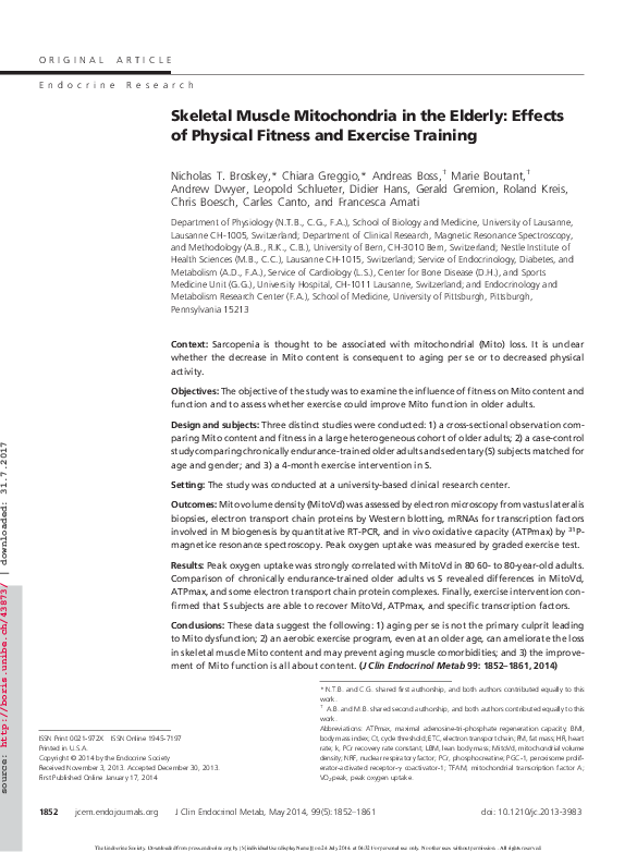 (PDF) Skeletal Muscle Mitochondria in the Elderly: Effects of Physical ...