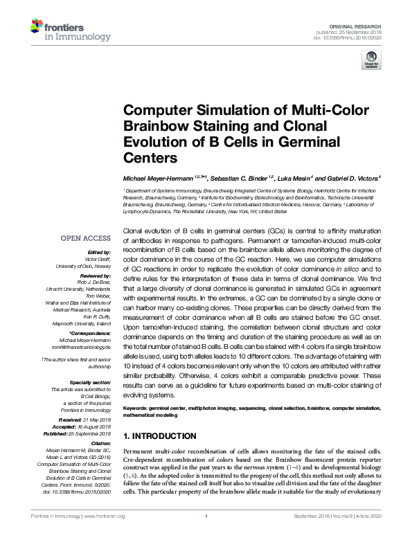 (PDF) Computer Simulation of Multi-Color Brainbow Staining and Clonal ...