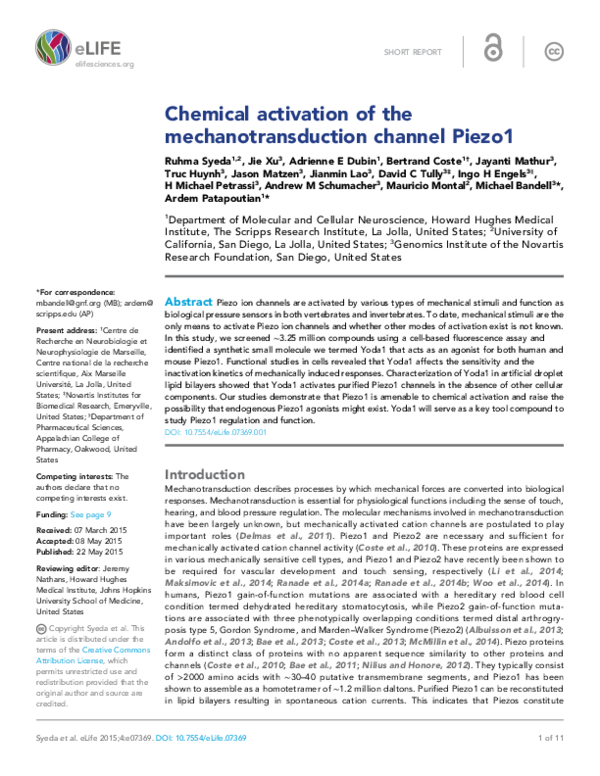 (PDF) Chemical activation of the mechanotransduction channel Piezo1