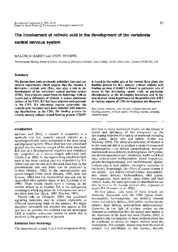 (PDF) The involvement of retinoic acid in the development of the ...
