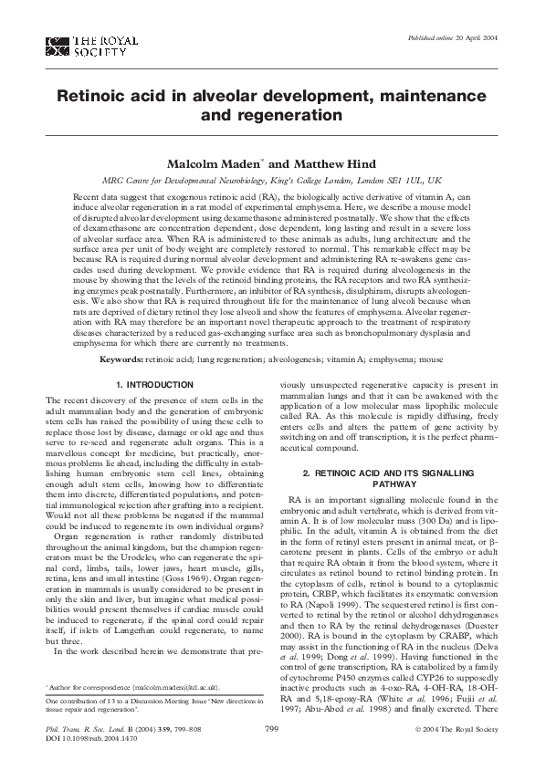 (PDF) Retinoic acid in alveolar development, maintenance and regeneration