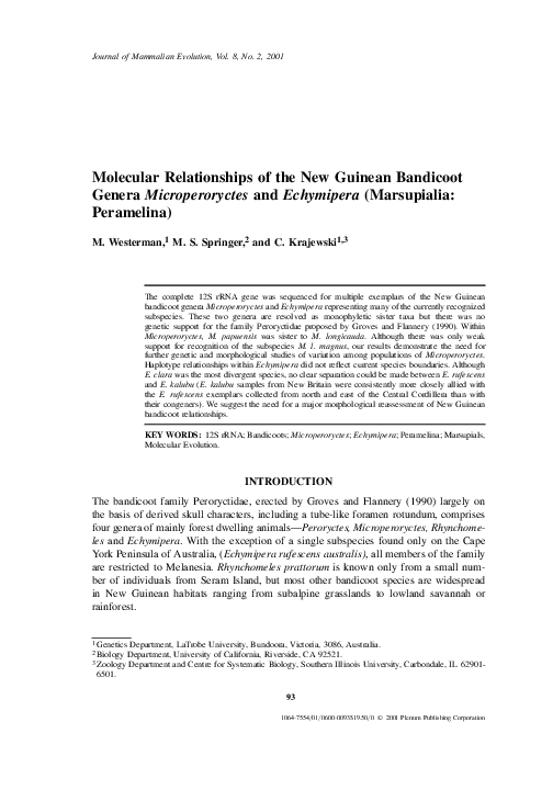 (PDF) Molecular Relationships of the New Guinean Bandicoot Genera ...