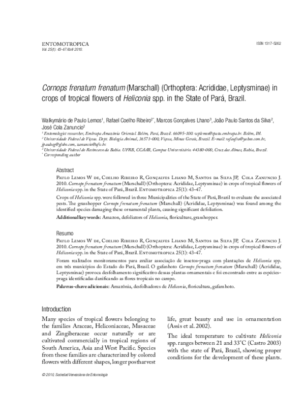 (PDF) Cornops frenatum frenatum (Marschall)(Orthoptera: Acrididae ...