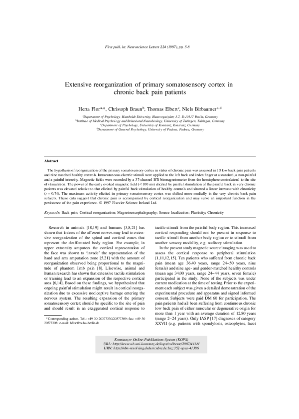 (PDF) Extensive reorganization of primary somatosensory cortex in ...