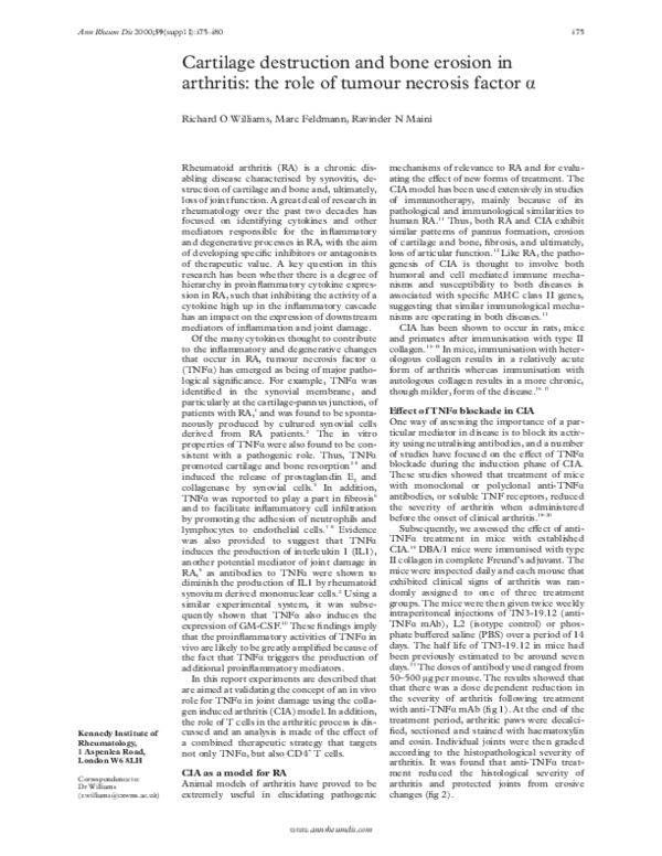 (PDF) Cartilage destruction and bone erosion in arthritis: the role of ...