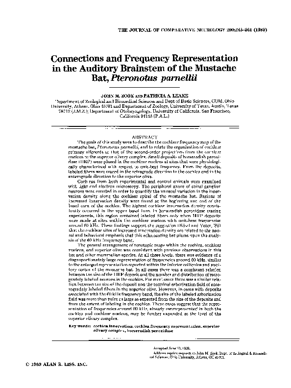 (PDF) Connections and frequency representation in the auditory ...