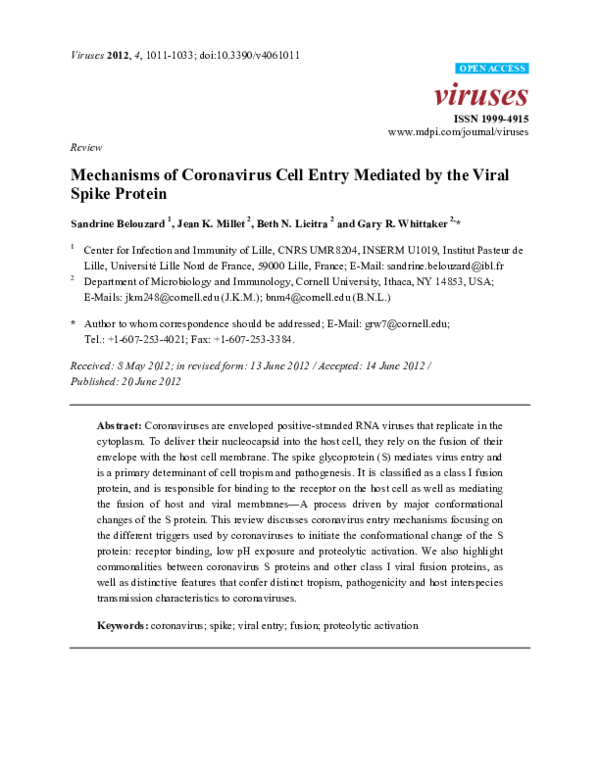 (PDF) Mechanisms of Coronavirus Cell Entry Mediated by the Viral Spike ...
