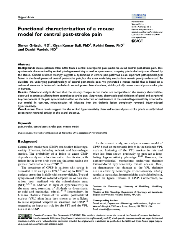 (PDF) Functional characterization of a mouse model for central post ...