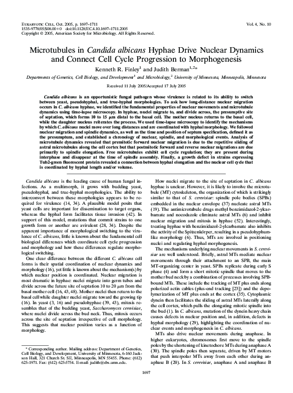 (PDF) Microtubules in Candida albicans Hyphae Drive Nuclear Dynamics ...