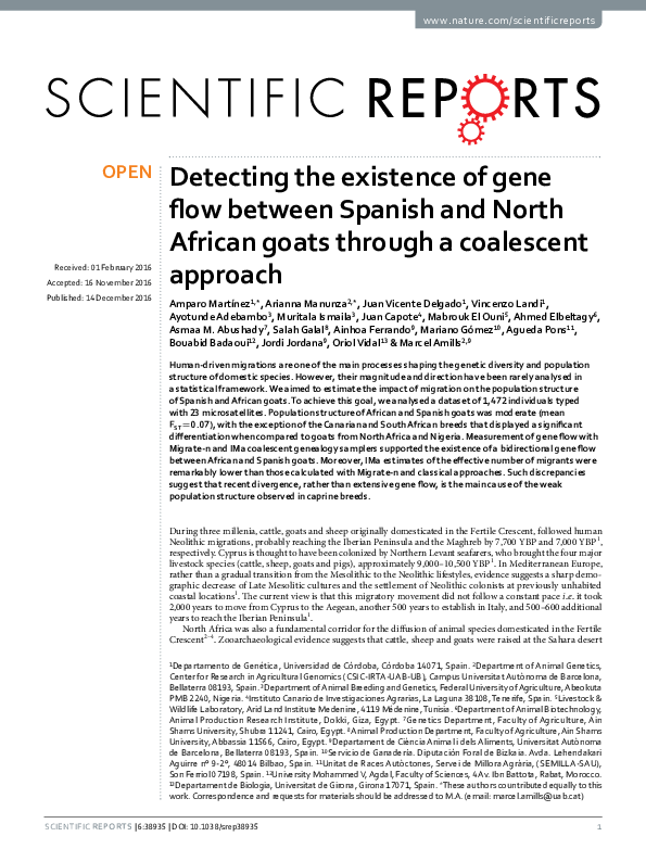  PDF Detecting The Existence Of Gene Flow Between Spanish And North African Goats Through A 