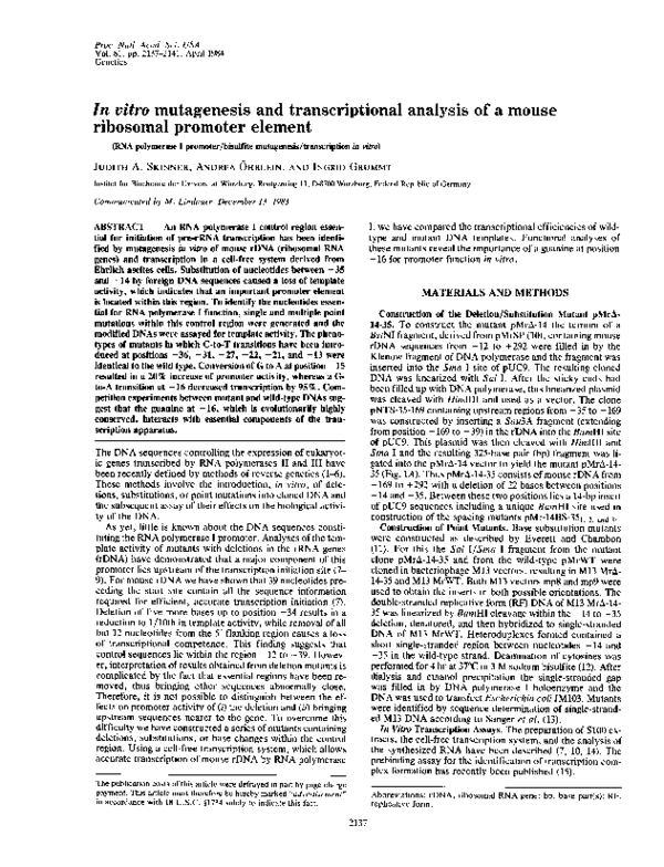 (PDF) In vitro mutagenesis and transcriptional analysis of a mouse ...