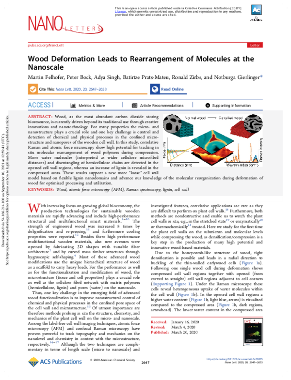 (PDF) Wood Deformation Leads to Rearrangement of Molecules at the Nanoscale