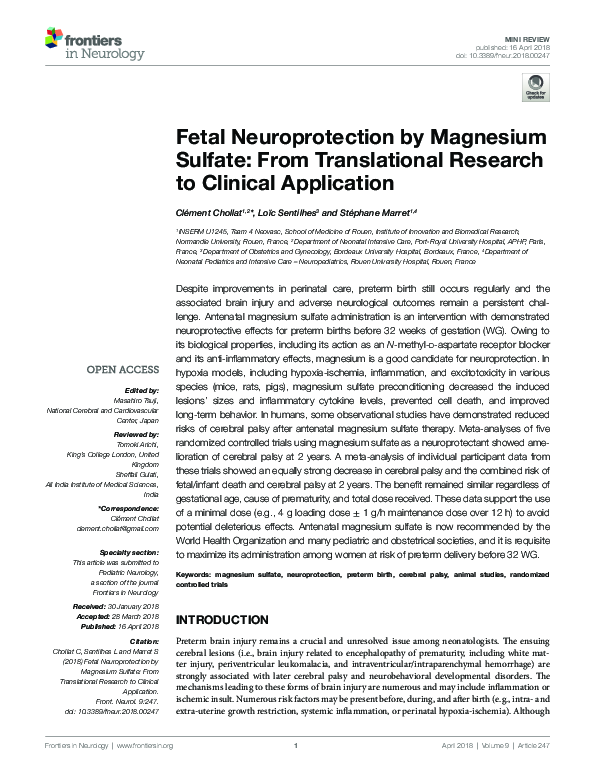 (PDF) Fetal Neuroprotection by Magnesium Sulfate From Translational