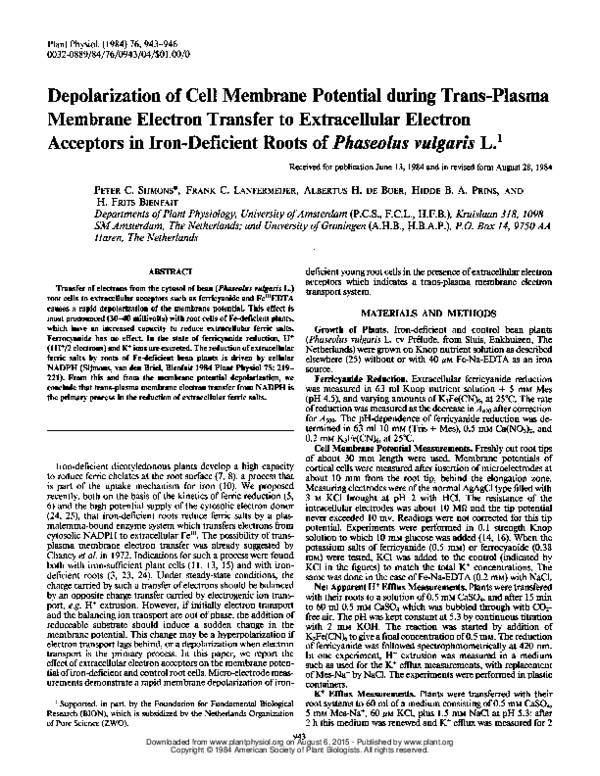 (PDF) Depolarization ofCell Membrane Potential during Trans-Plasma ...
