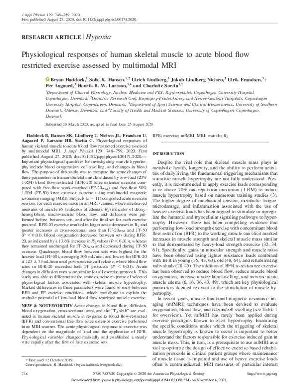 (PDF) Physiological responses of human skeletal muscle to acute blood ...