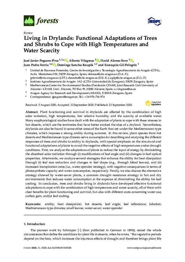 (PDF) Living in Drylands: Functional Adaptations of Trees and Shrubs to ...
