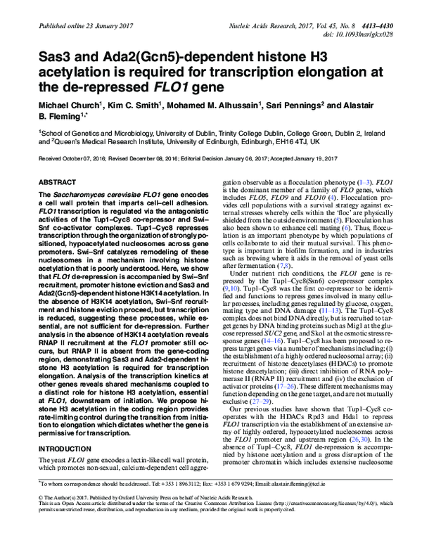 (PDF) Sas3 and Ada2(Gcn5)-dependent histone H3 acetylation is required ...