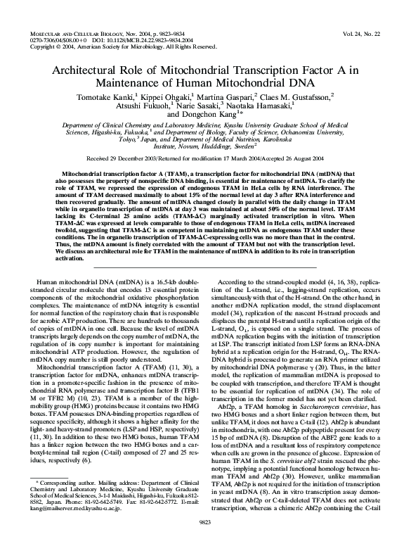 (PDF) Architectural Role of Mitochondrial Transcription Factor A in ...