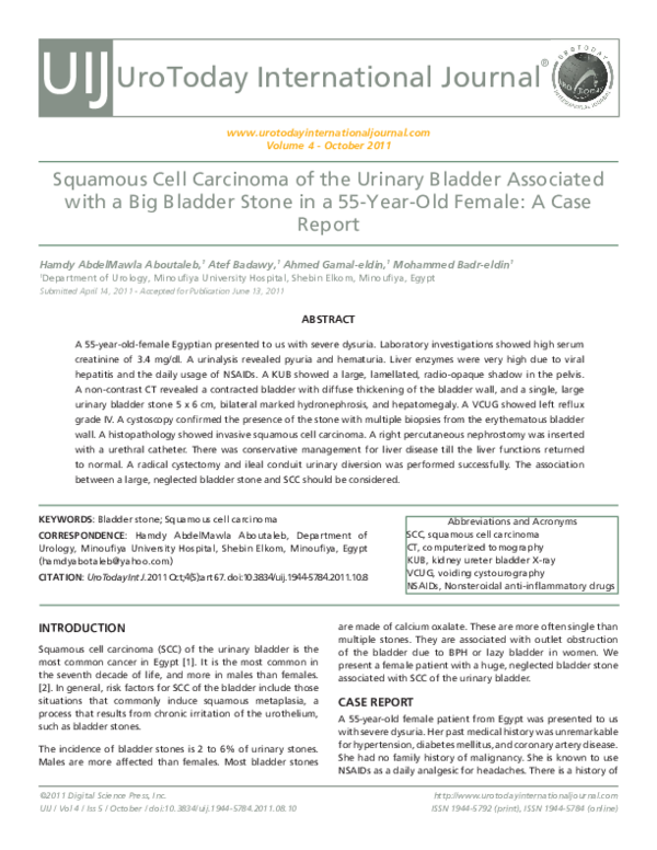 (PDF) Squamous Cell Carcinoma of the Urinary Bladder Associated with a ...