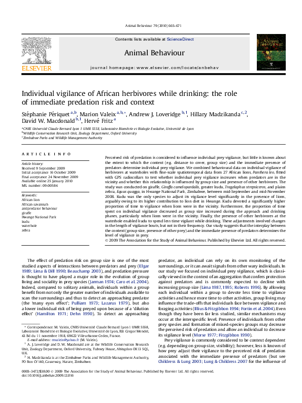 (PDF) Individual vigilance of African herbivores while drinking: the ...