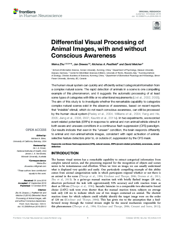 (PDF) Differential Visual Processing of Animal Images, with and without ...