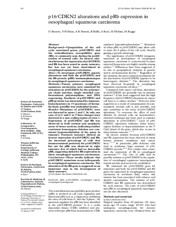(PDF) p16/CDKN2 alterations and pRb expression in oesophageal squamous ...
