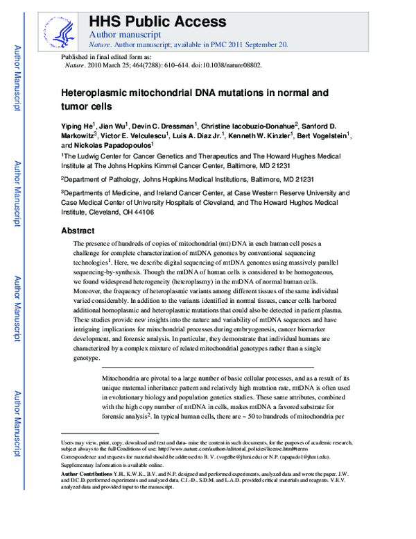 (PDF) Heteroplasmic mitochondrial DNA mutations in normal and tumour cells