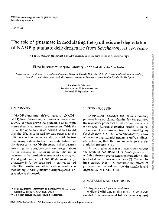 (PDF) The role of glutamate in modulating the synthesis and degradation ...