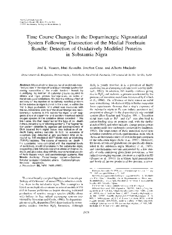 (PDF) Time Course Changes in the Dopaminergic Nigrostriatal System ...