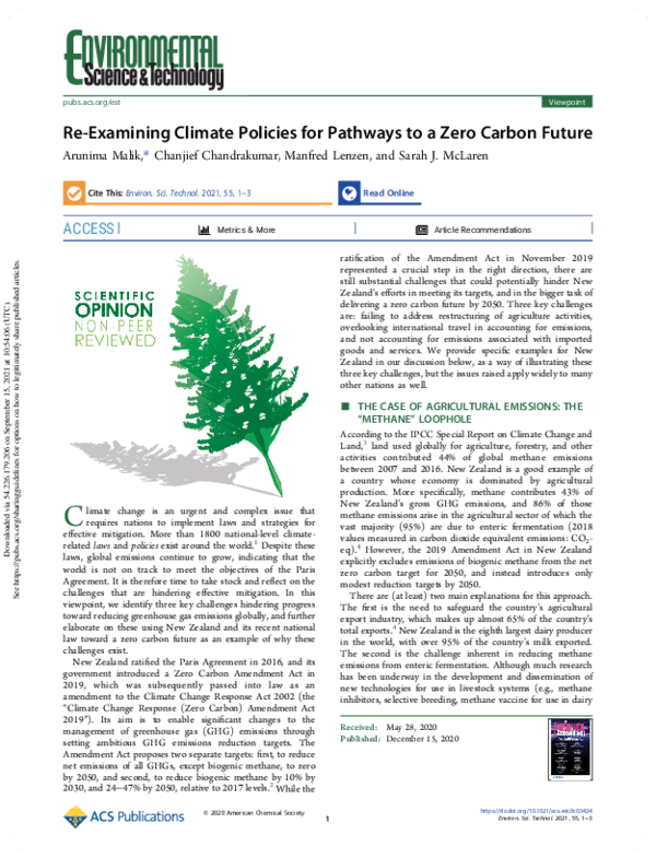 (PDF) Re-Examining Climate Policies for Pathways to a Zero Carbon Future
