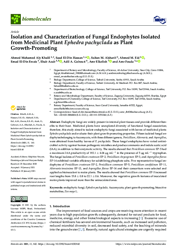 (PDF) Isolation and Characterization of Fungal Endophytes Isolated from ...