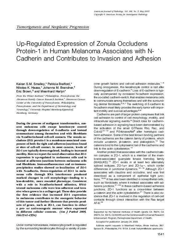 (PDF) Up-Regulated Expression of Zonula Occludens Protein-1 in Human ...