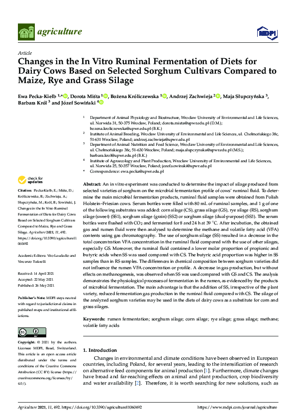 (PDF) Changes in the In Vitro Ruminal Fermentation of Diets for Dairy ...