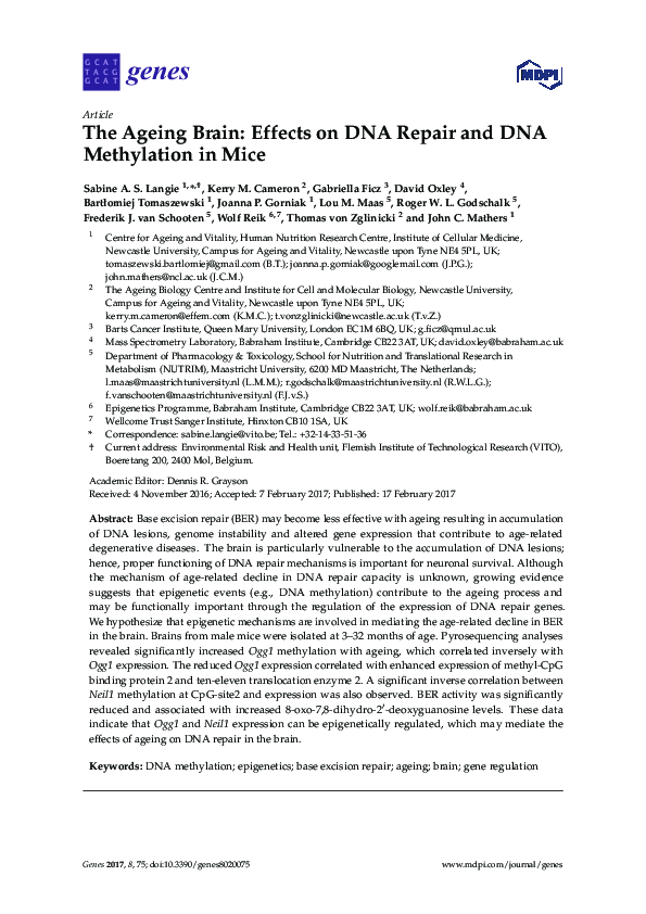 (PDF) The Ageing Brain: Effects on DNA Repair and DNA Methylation in Mice
