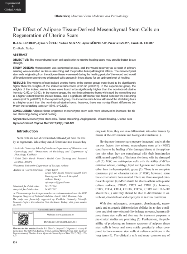 (PDF) The Effect of Adipose Tissue-Derived Mesenchymal Stem Cells on ...
