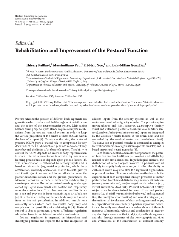 (PDF) Rehabilitation and Improvement of the Postural Function