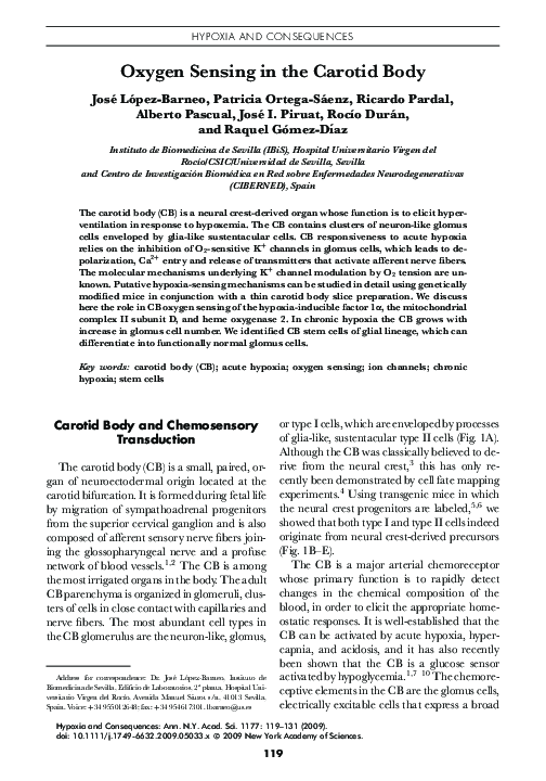 (PDF) Oxygen Sensing in the Carotid Body