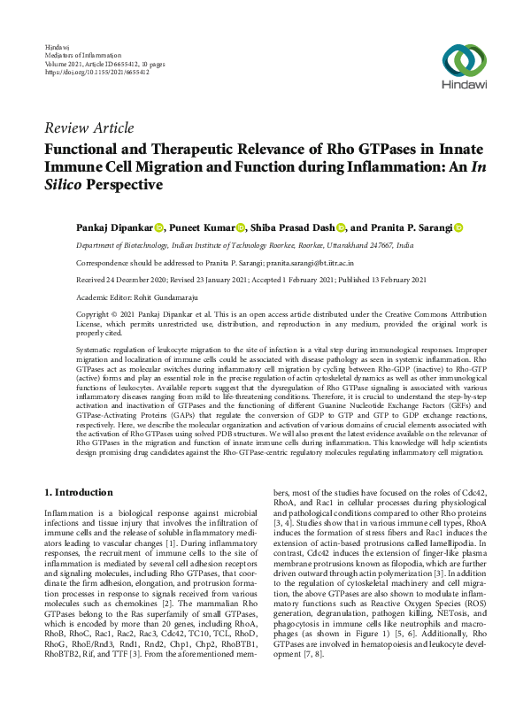 (PDF) Functional and Therapeutic Relevance of Rho GTPases in Innate ...